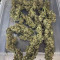 Original Auto AK Cannabis-Samen Kaufen
