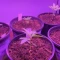 Mimosa (Herbies Seeds)
