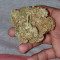 Purple Haze Auto strain
