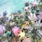 Sherbet (Seedstockers) Cannabis-Samen