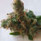 LSD Auto Cannabis-Samen Kaufen