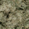 Three Blue Kings (Humboldt Seeds Organization) Cannabis-Samen zu verkaufen