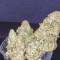 O.G. Kush Cannabis-Samen Kaufen