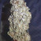 Kerosene Krash Cannabis-Samen Kaufen