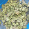 Sour Diesel Autoflower feminisierte Samen (Seedkeepers)