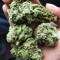 Afghani #1 (Sensi Seeds) Cannabis-Samen