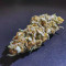 Forbidden Runtz Auto Cannabis-Samen Kaufen