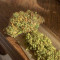 Auto Gorilla Blue Cannabis-Samen Kaufen