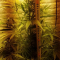 Critical Kush Cannabis-Samen Kaufen