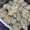 Amphetamine Auto (Cream of the Crop Seeds) Cannabis-Samen