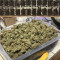 Blue Dream (BlimBurn Seeds) Cannabis-Samen