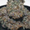 Purple Punch (Barney's Farm) Cannabis-Samen zu verkaufen