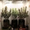 Gorilla Cookies Auto (Fast Buds) Cannabis-Samen zu verkaufen