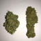 Midnight Kush (G13 Labs) Cannabis-Samen