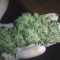 + Speed Auto (Sweet Seeds) Cannabis-Samen zu verkaufen