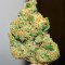 Sour Diesel x OG Kush feminisierte Samen (Seedkeepers)