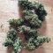 Blueberry OG weed strain