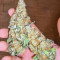 Dozy Sith feminisierte Samen (AlphaFem Seeds)