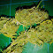 Girl Scout Cookies (Original Sensible Seeds) Cannabis-Samen
