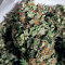 Lemon AK Auto feminisierte Samen (Fast Buds)