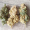 C4 Auto Cannabis-Samen Kaufen