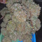 Auto Banana Blaze Cannabis-Samen Kaufen