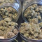 Bakers Delight (DNA Genetics) Cannabis-Samen zu verkaufen
