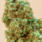 Princess Haze Regular (Brothers Grimm Seeds) Cannabis-Samen