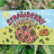 Strawberry Amnesia feminisiertes Saatgut von Herbies Seeds