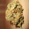 Silver Bubble (Reserva Privada) Cannabis-Samen