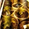 West Coast O.G. Auto (Fast Buds) Cannabis-Samen zu verkaufen