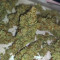Kaufe Original Afghan Kush Auto Samen feminisiert von Fast Buds