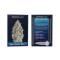 Auto Gorilla Blue (Advanced Seeds) Cannabis-Samen