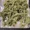 Tangie'matic Auto (Fast Buds) Cannabis-Samen zu verkaufen