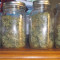 Malawi (Ace Seeds) Cannabis-Samen zu verkaufen