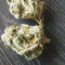 Wild Thailand (World of Seeds) Cannabis-Samen zu verkaufen