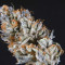 Brain Cake Cannabis-Samen Kaufen