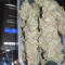 Liberty Haze Cannabis-Samen Kaufen