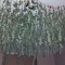 GG#4 Original Glue (BlimBurn Seeds) Cannabis-Samen zu verkaufen