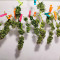Sweet Skunk Auto (Sweet Seeds) Cannabis-Samen zu verkaufen