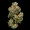 Gorilla (00 Seeds) Cannabis-Samen
