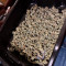 Critical Orange Punch (Dutch Passion) Cannabis-Samen