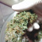 Cream Caramel Auto (Sweet Seeds) Cannabis-Samen zu verkaufen