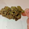 Purple Punch Auto (Fast Buds) Cannabis-Samen zu verkaufen
