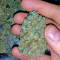 Big Freeze (Big Head Seeds) Cannabis-Samen
