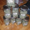 Wedding Cake (Original Sensible Seeds) Cannabis-Samen zu verkaufen