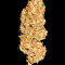 Pineapple Glue (Advanced Seeds) Cannabis-Samen zu verkaufen