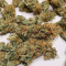 Pineapple Express #2 (G13 Labs) Cannabis-Samen zu verkaufen