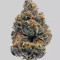 The New (Humboldt Seeds Organization) Cannabis-Samen