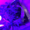 LSD Auto Cannabis-Samen Kaufen